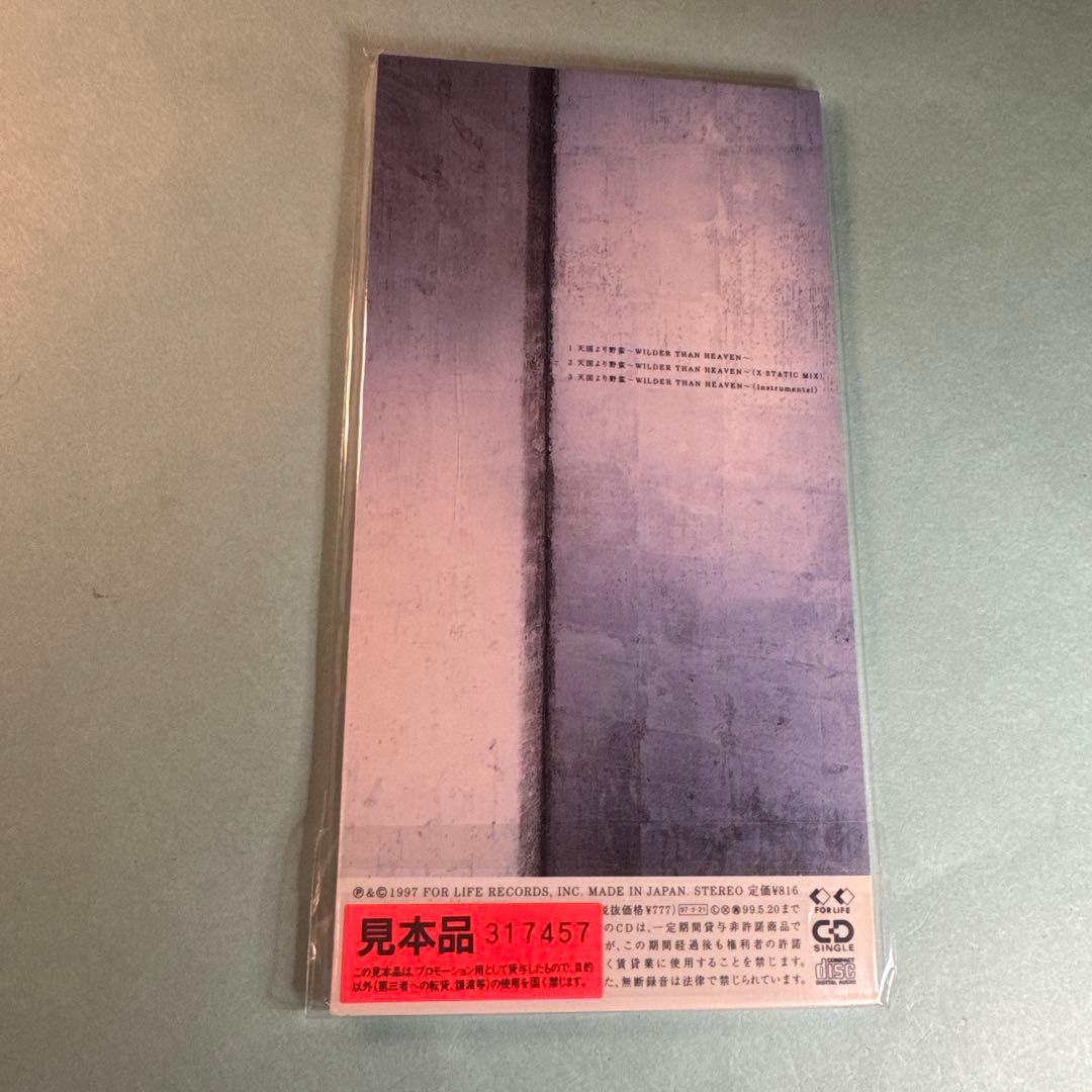 中谷美紀／天国より野蛮〜WILDER THAN HEAVEN〜