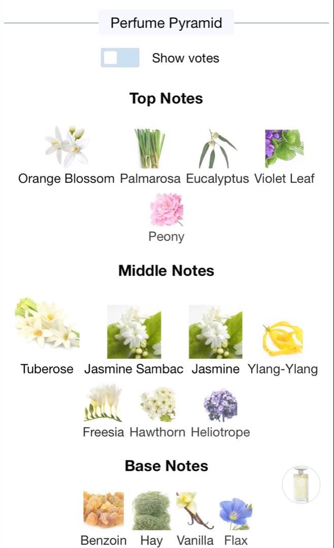 メゾンヴィオレ　コンプリモン　NOSESHOP 新品同様