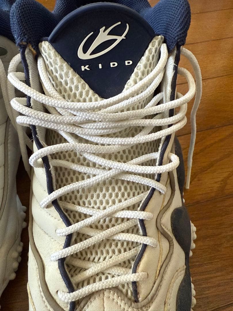 エアズームフライト5 29.5㎝