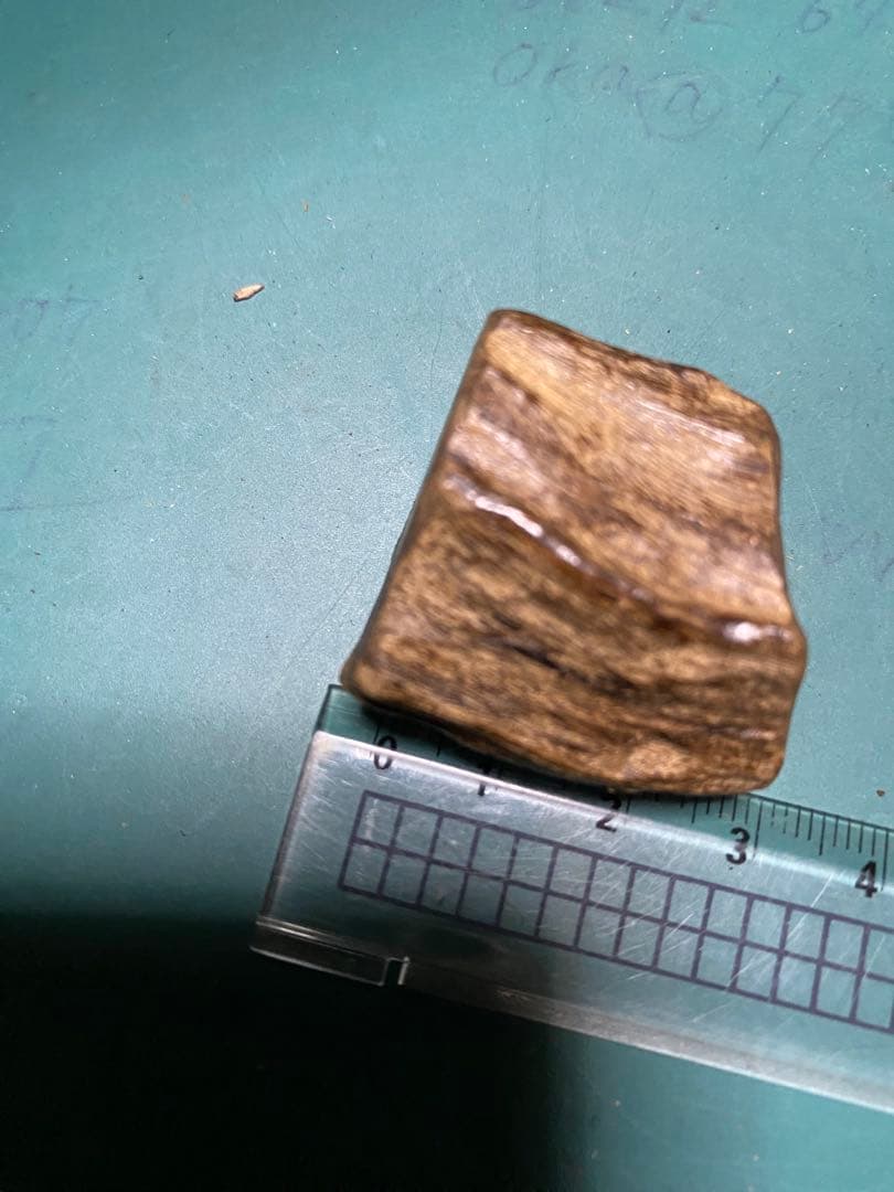 タニ沈水香木　黒油沈香12.39g 香道聞香用六国五味沈香伽羅