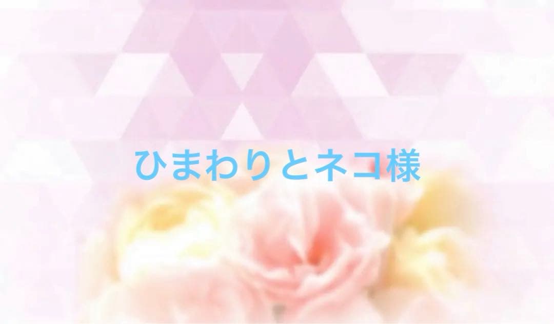 サキナ　ベーシック5点セット