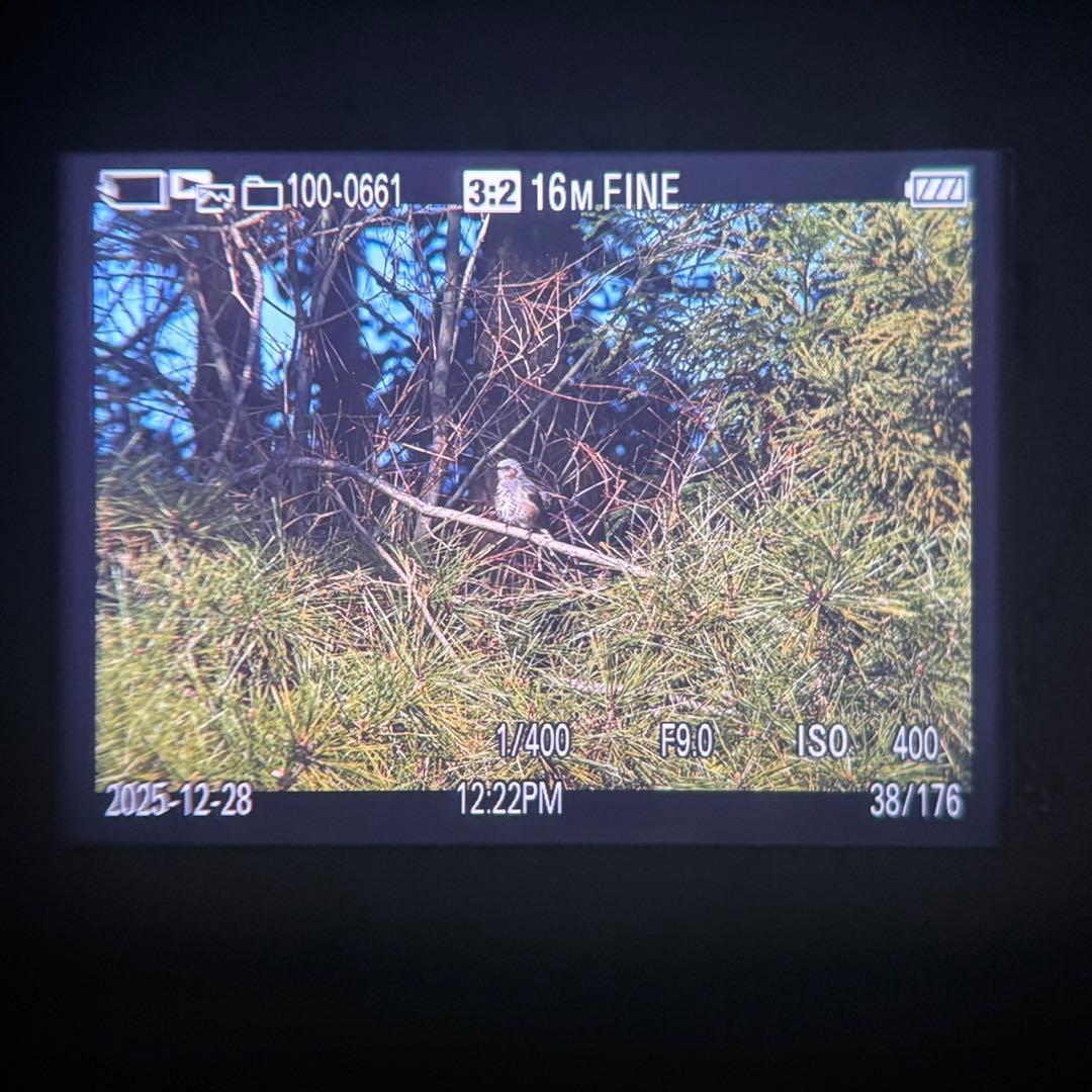 美品　SONY α57 デジタル一眼カメラ