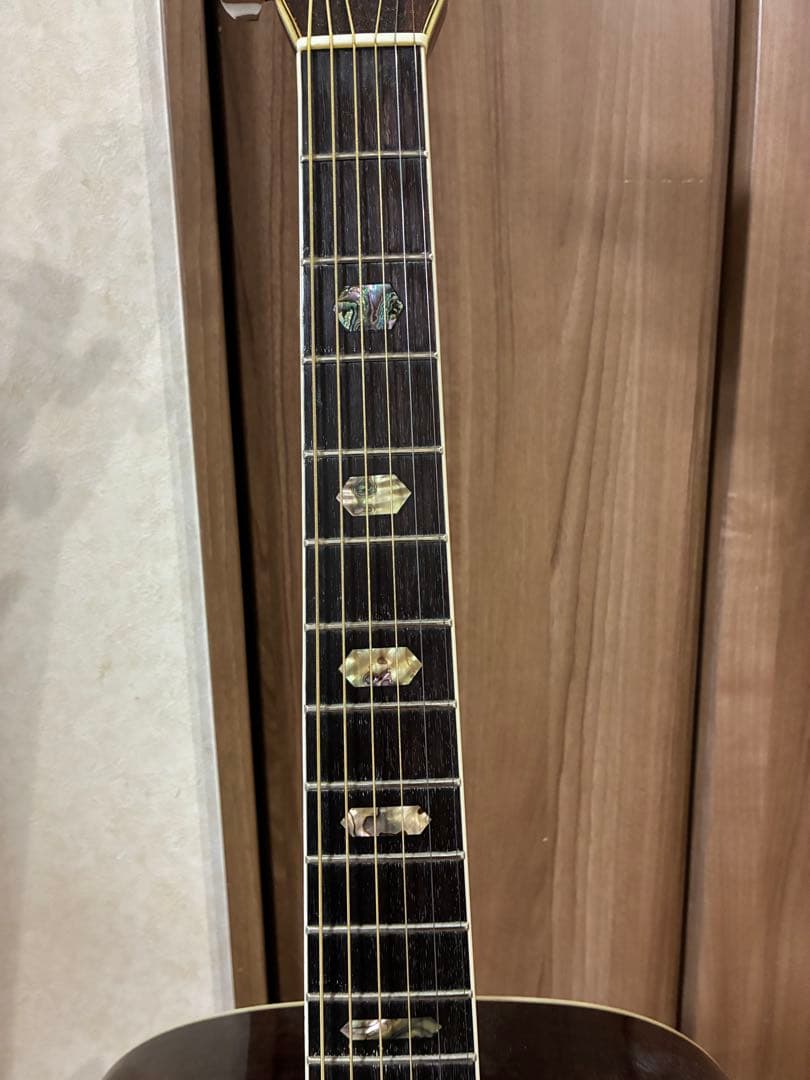 Morris W-50 アコースティックギター