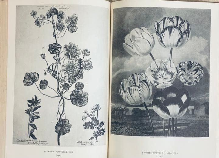 【大型本】FLOWER＆FRUIT PRINTS　ボタニカル