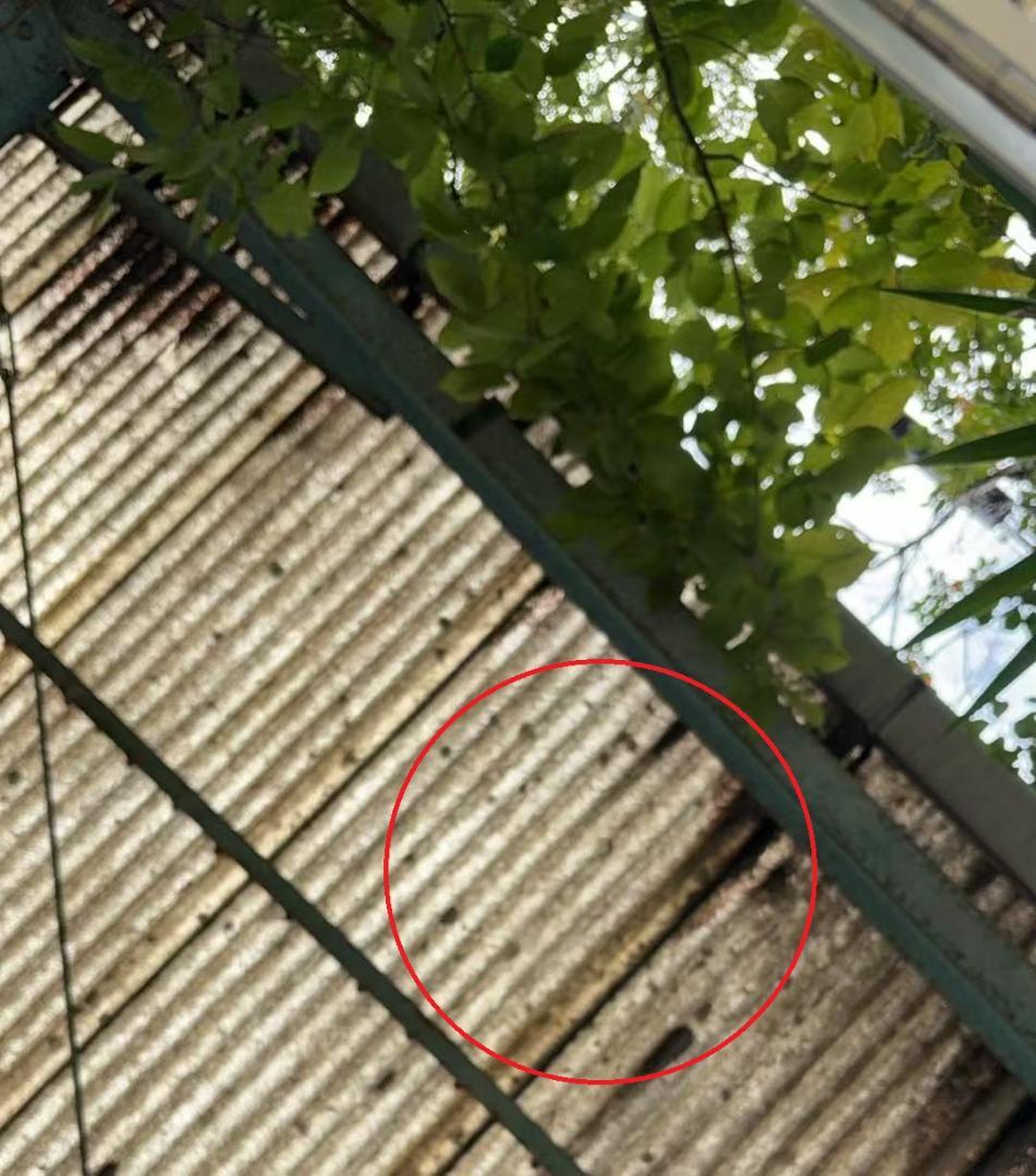 【中古】ダンス鏡 折り畳み 割れない鏡 160cmx100cmx2枚 銀色24番