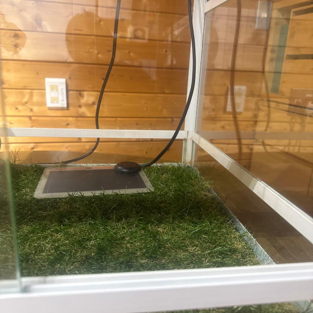 パンテオン6045 他飼育セット