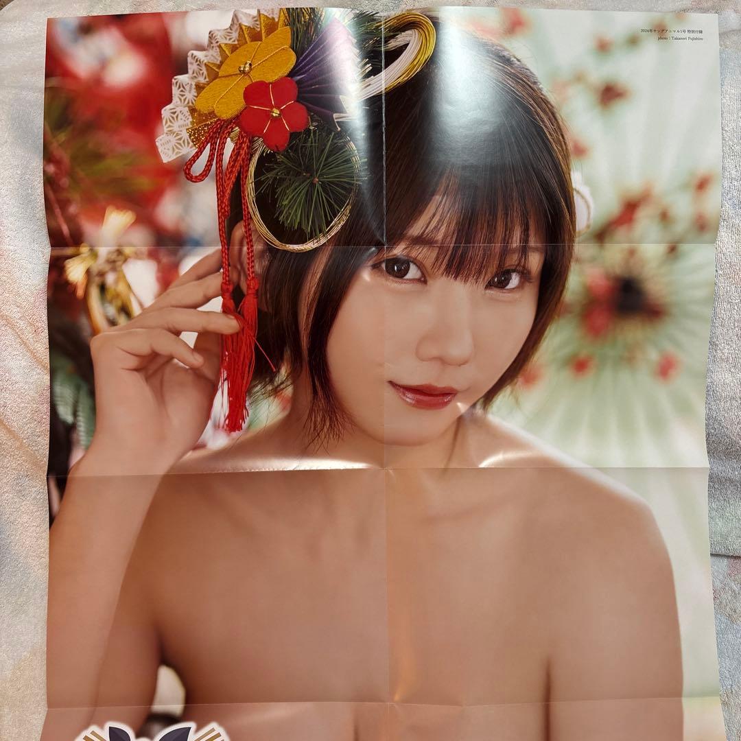 えなこ 大判ポスター、過去カレンダー等セット