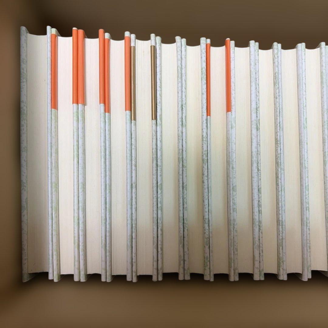 稀少‼️ 絶版❗️アボンリーへの道　全20巻セット