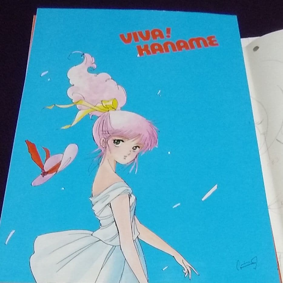 VIVA KANAMEカナメプロ3冊セット