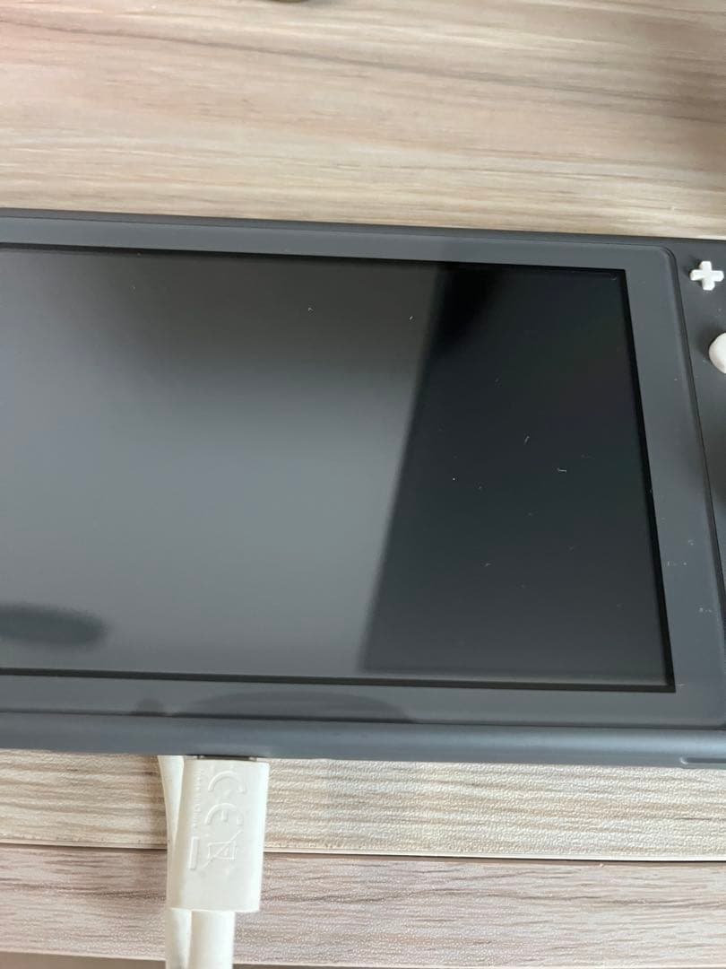 Nintendo Switch/スイッチライト/美品/付属品有