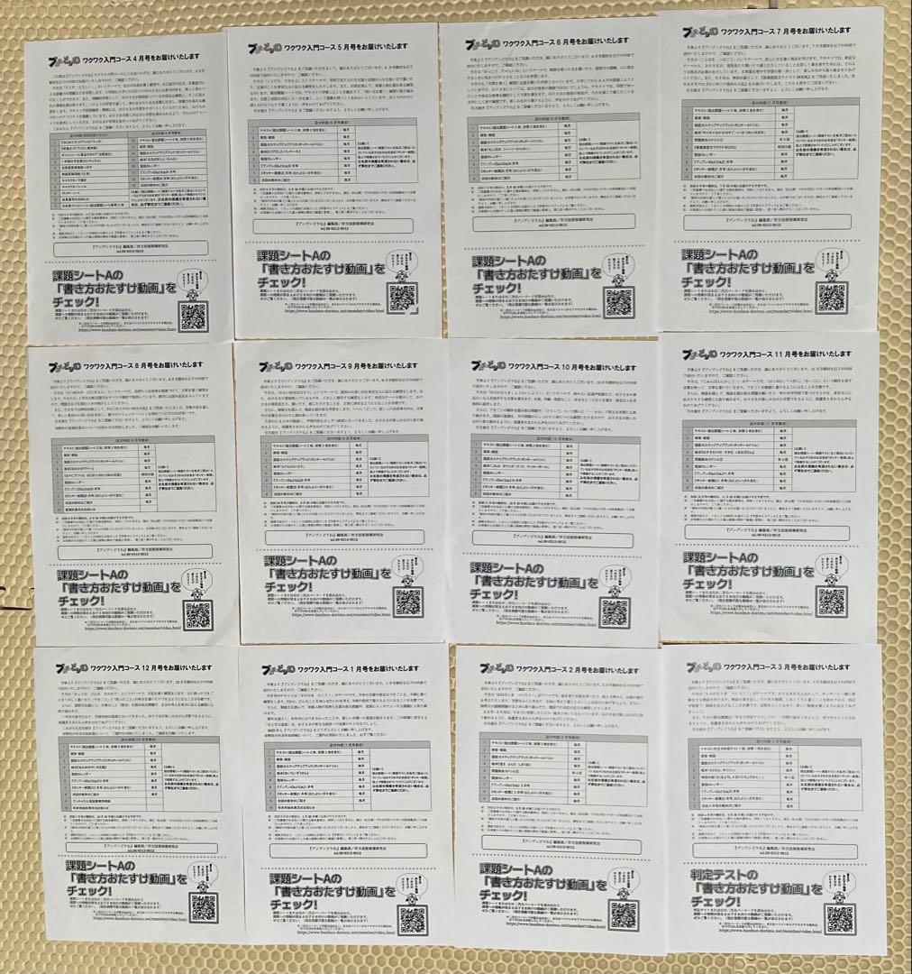 2024年度版 ブンブンどりむ 1年生 ワクワク入門コース1年分