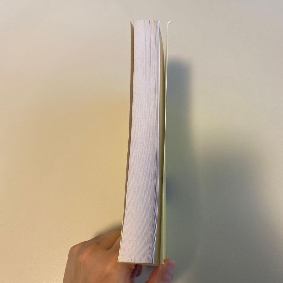 洋書 Geometrical Methods in the Theory of Ord