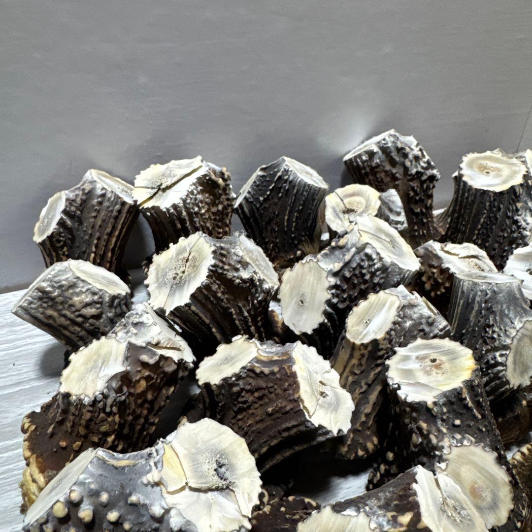 鹿の角　端材　ハンドメイド用