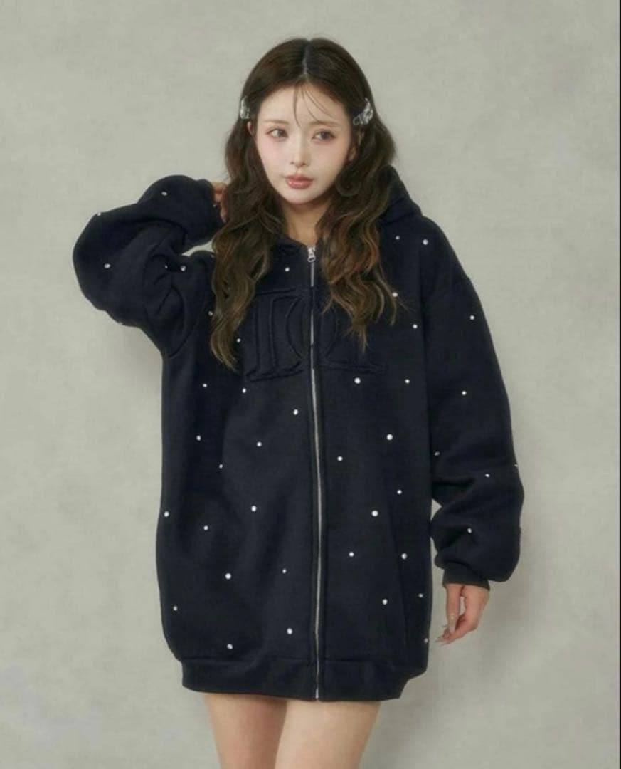 Darich DDロゴビジュージップパーカー ダーリッチ