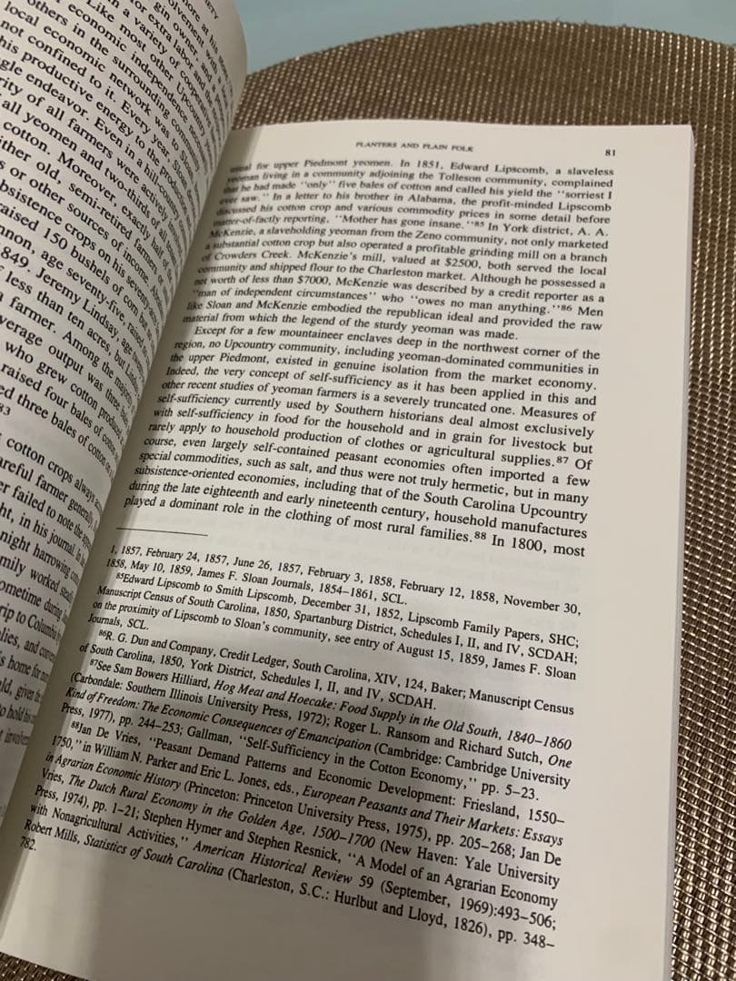 洋書 SOUTHERN RADICALISM Lacy K. Ford, Jr.