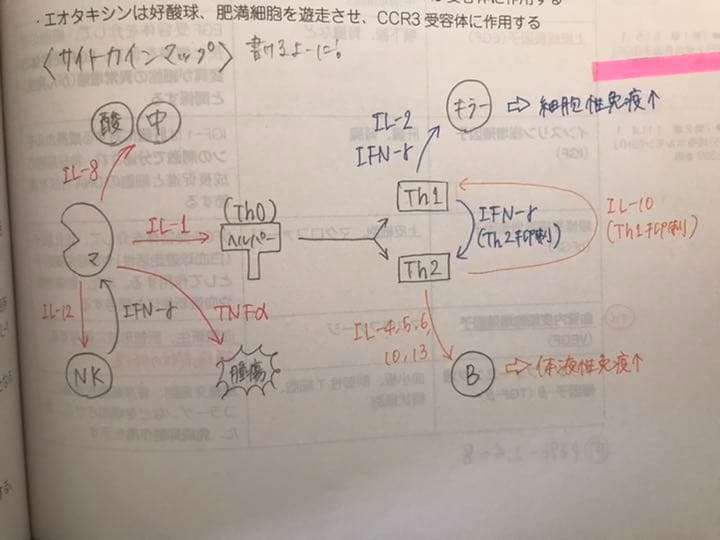 薬剤師国家試験　要点マスター青問2022年版❗️大幅値下げ