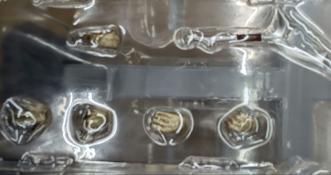 SHフィギュアアーツ。エースキラー。