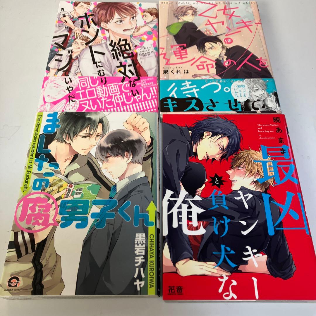 他の同梱のみ購入可