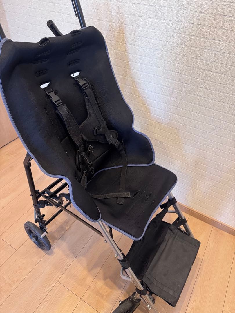 ピグレオ2 軽量バギー　キッズ