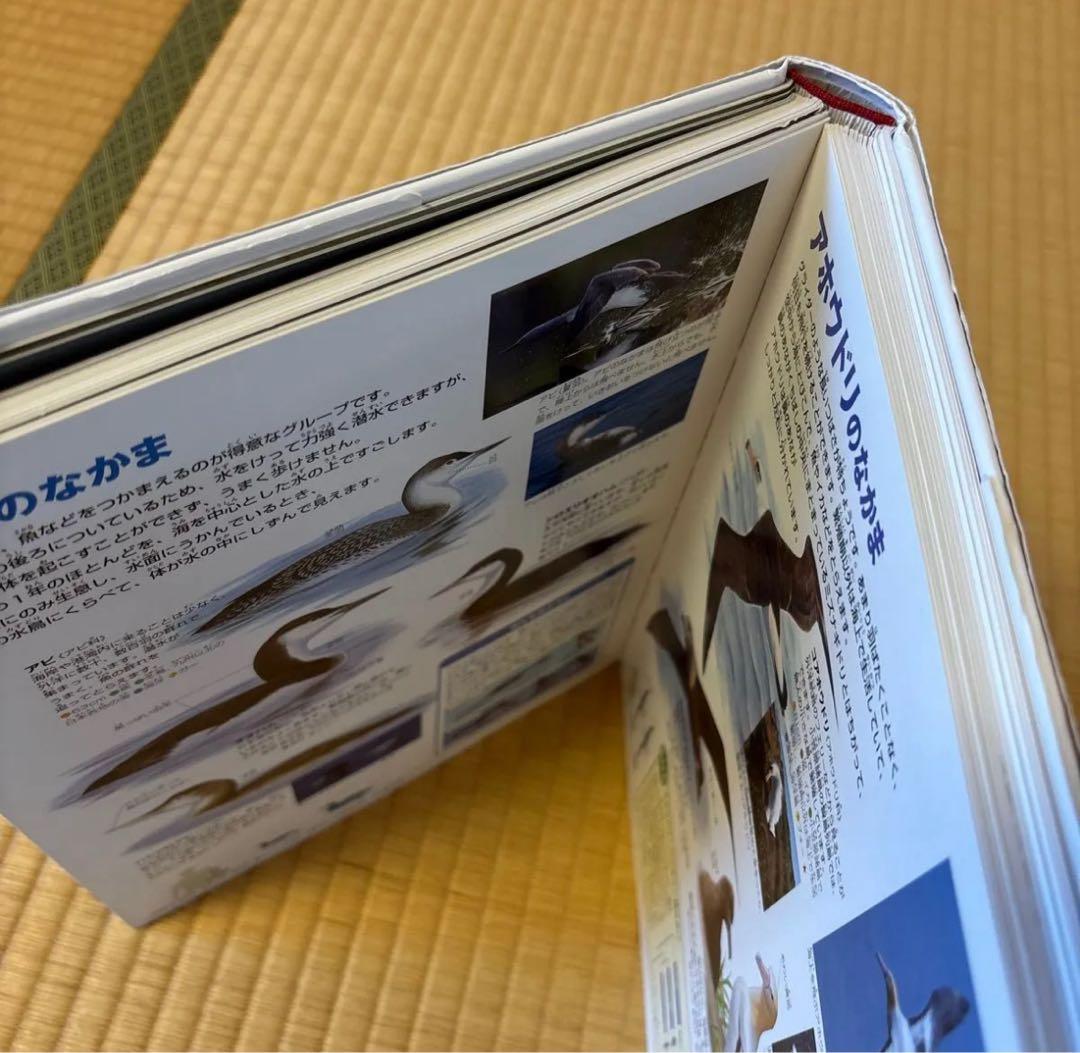 【すしろー】小学館の図鑑NEO 13冊セット　DVD付き　美品