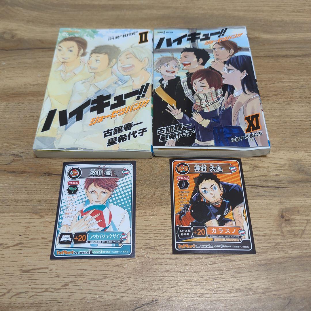 ハイキュー!!全巻 1〜45巻＋関連本34冊 初版多数 79冊セット