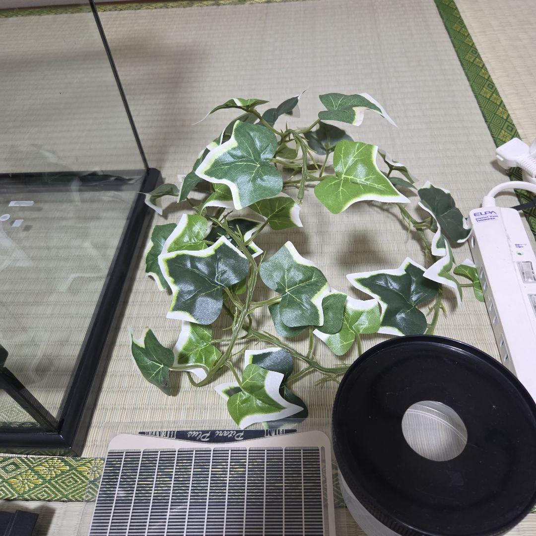 ぴっぴ GEX エキゾテラ グラステラリウム3045 一式セット