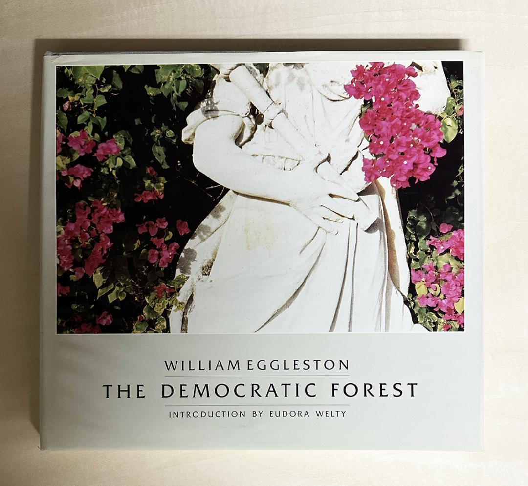 アート・デザイン・音楽 William Eggleston The Democratic Forest