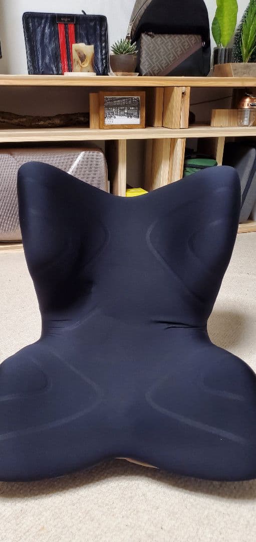 MTG style PREMIUM スタイルプレミアム　骨盤サポートチェア