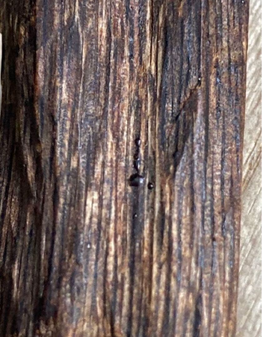 沈香　お香　天然沈香　桐箱付