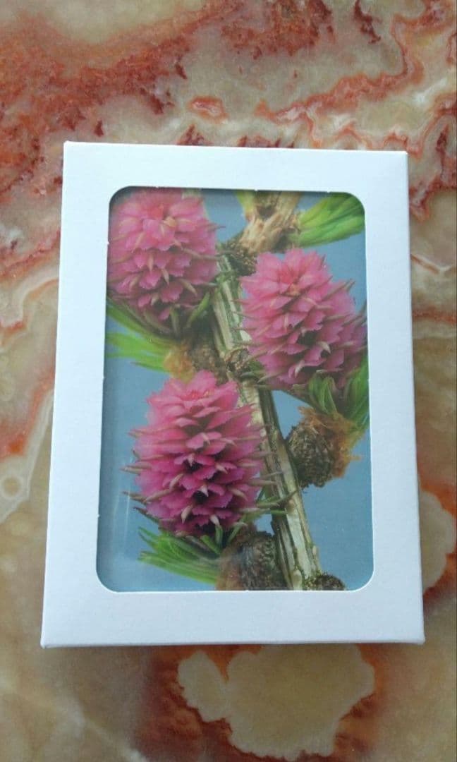 ㉓おまけ付ヒーリングハーブス社フラワーエッセンス40本フルセットとフラワーカード