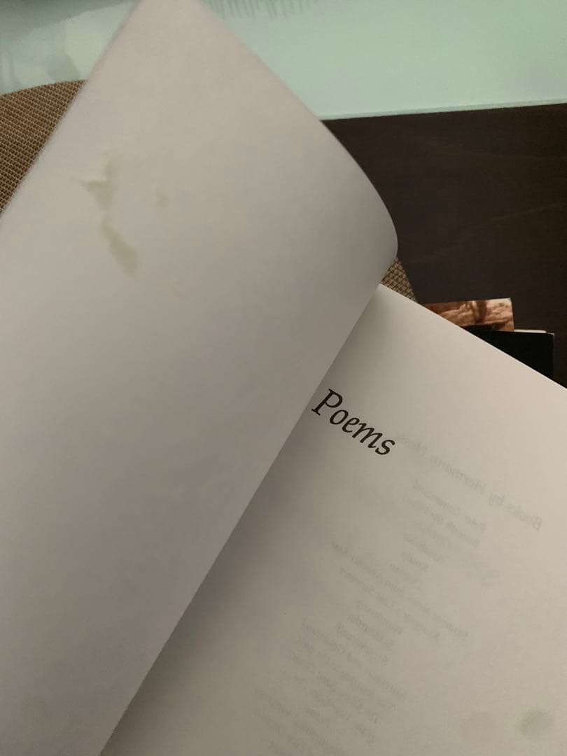 Hermann Hesse 書籍 洋書　セット