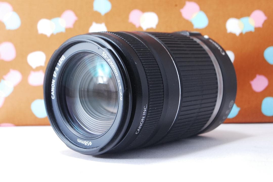 ✨超美品✨Canon EF-S 55-250mm F4-5.6 IS