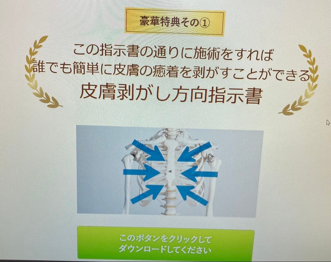 井上裕史先生の\"皮膚整体\"マスタープログラム