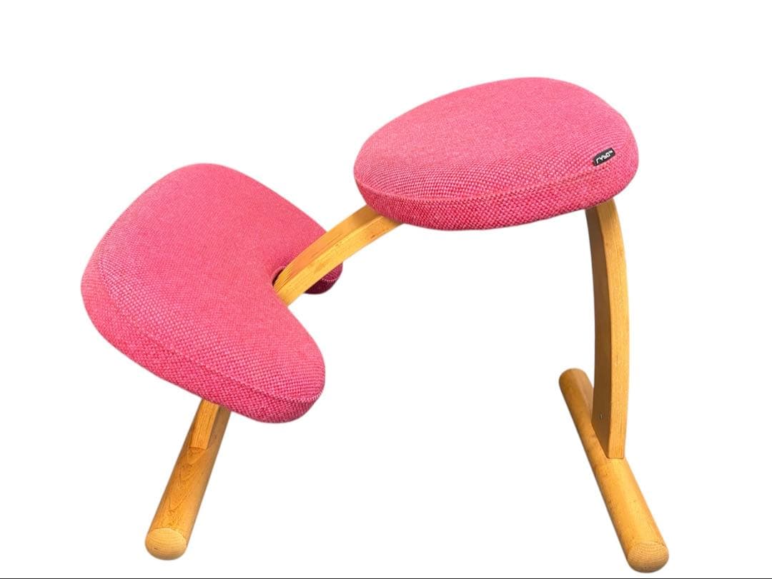 Rybo リボ社 Balans Easy バランスイージー ピンク