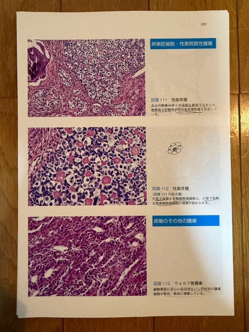 【裁断済】癌取扱い規約 12冊セット