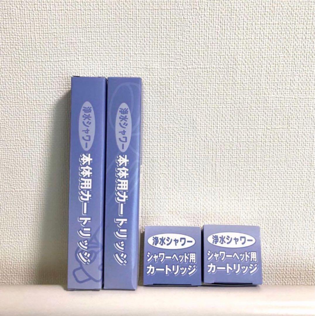 素粒水 浴室シャワーヘッド 交換用カートリッジ 2個 ウォーターセラピー