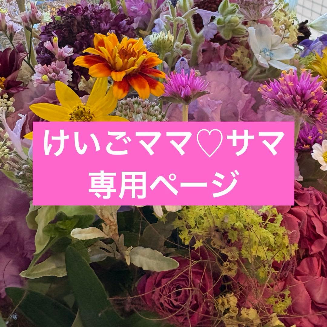 けいごママ♡サマ♡専用ページ