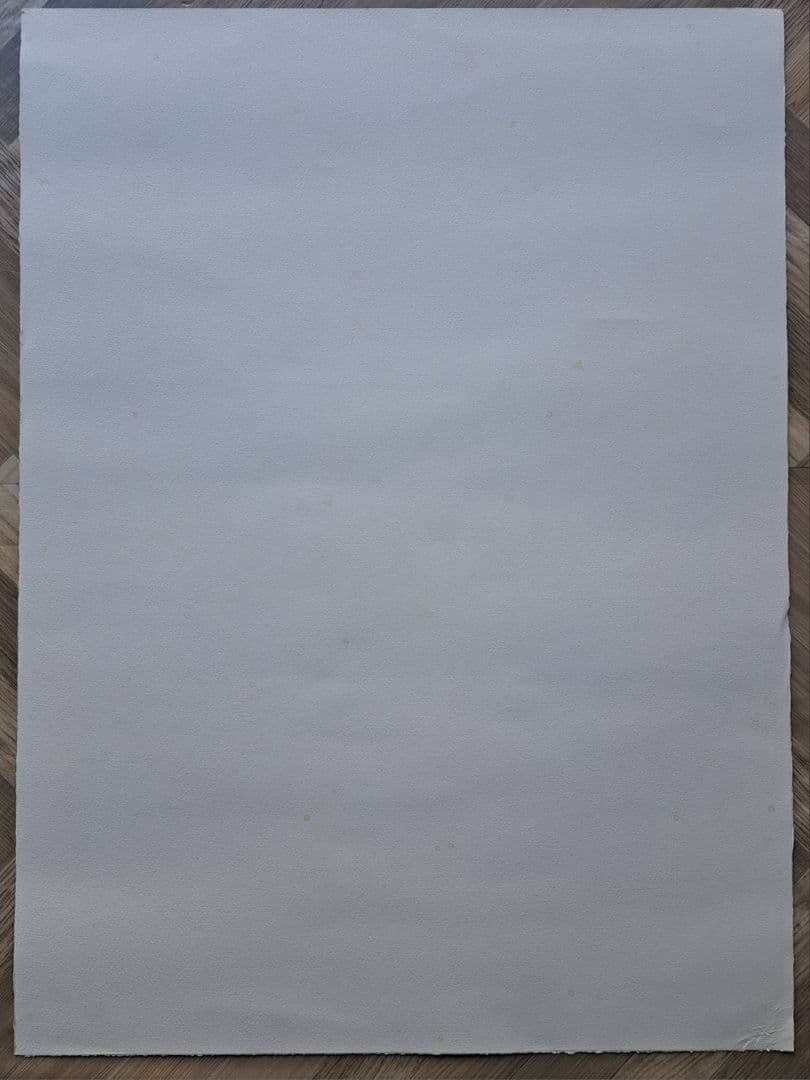 ザオ・ウーキー　趙無極　版画　中国人画家　奈良美智　村上隆