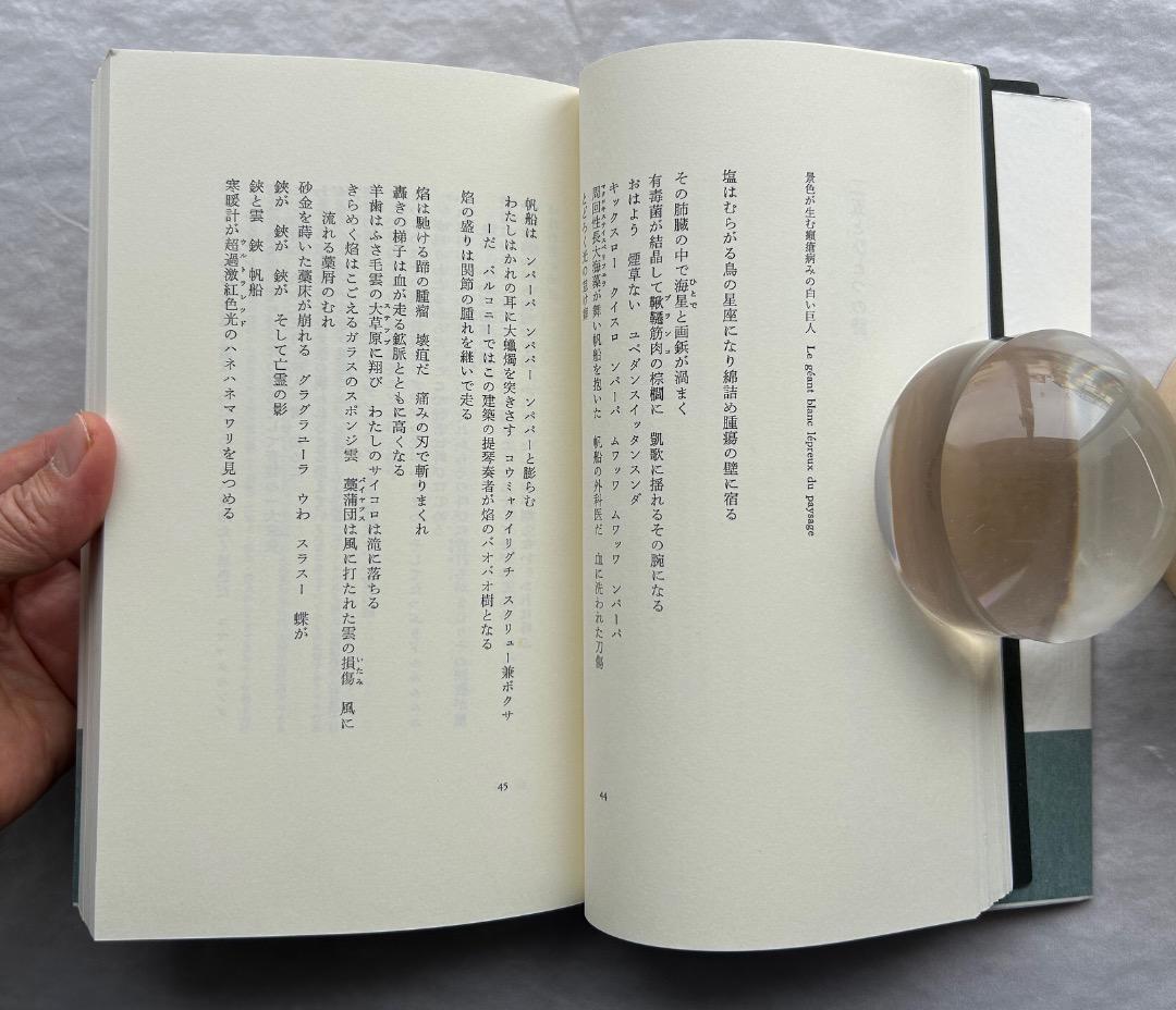 トリスタン・ツァラ『アンチピリン氏はじめて天空冒険ほか』、書肆山田、2001年。
