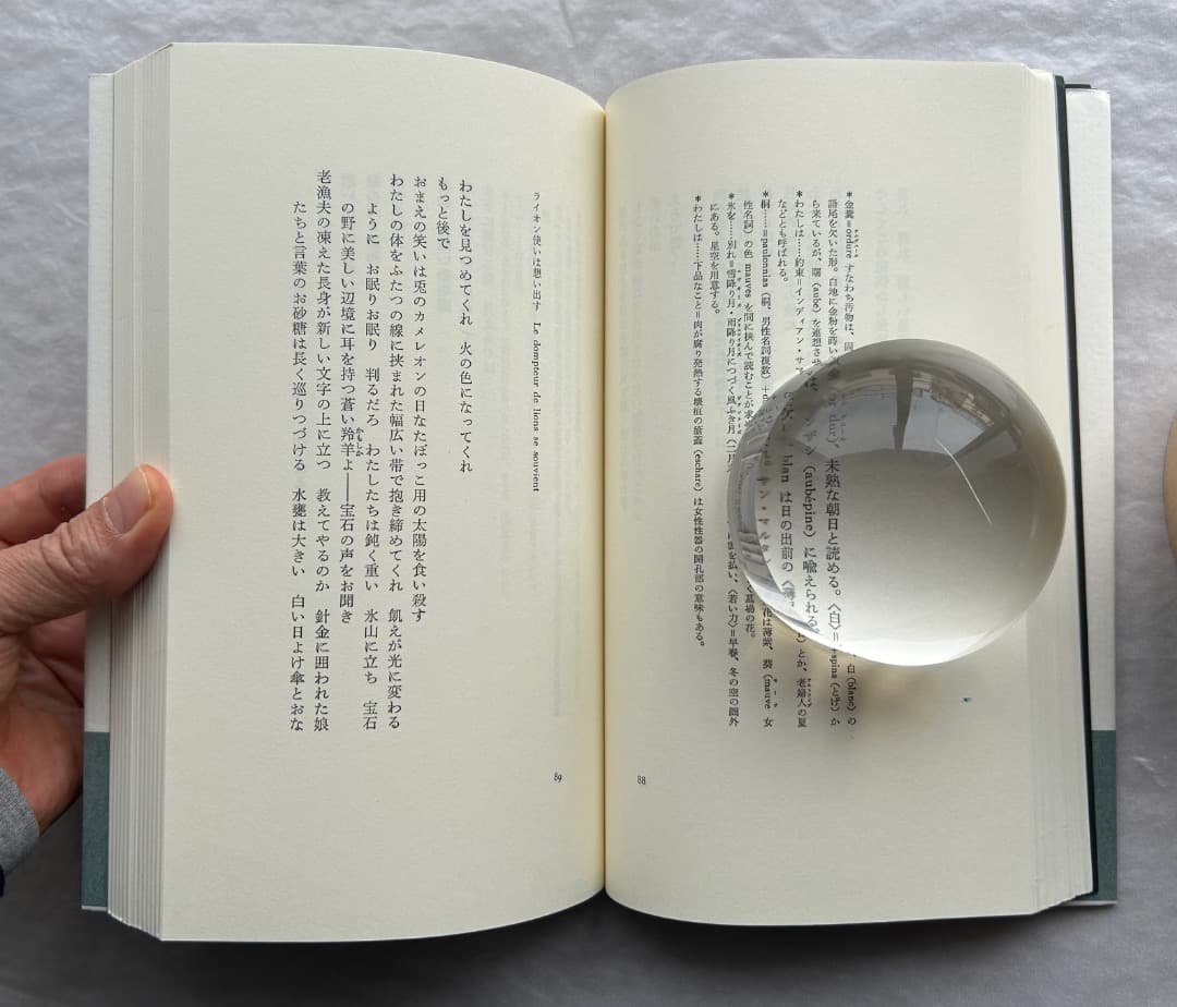 トリスタン・ツァラ『アンチピリン氏はじめて天空冒険ほか』、書肆山田、2001年。