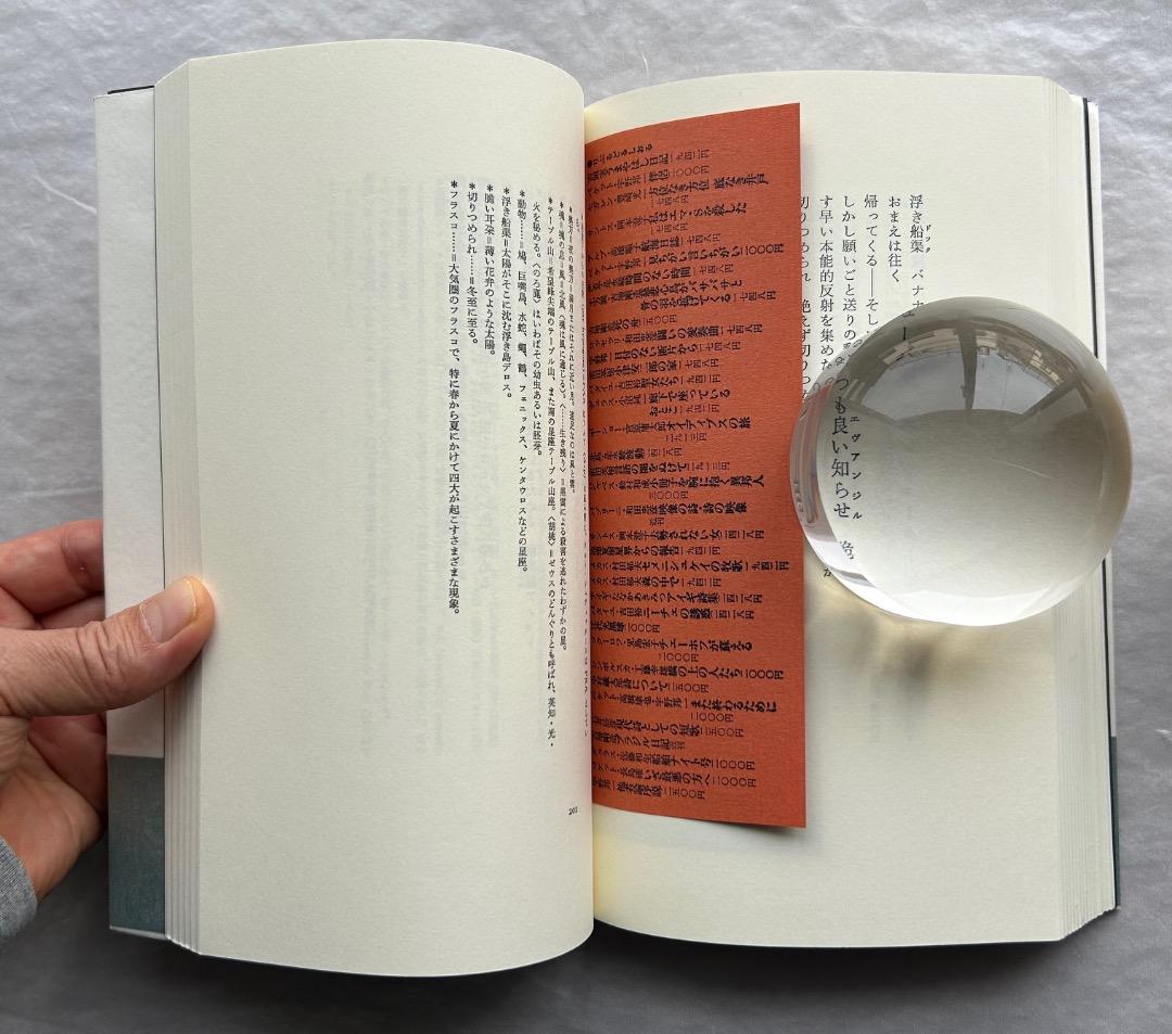 トリスタン・ツァラ『アンチピリン氏はじめて天空冒険ほか』、書肆山田、2001年。