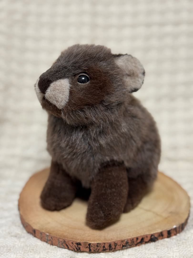 【最終値下】やまね工房　たぬき　タヌキ　ぬいぐるみ　日本製