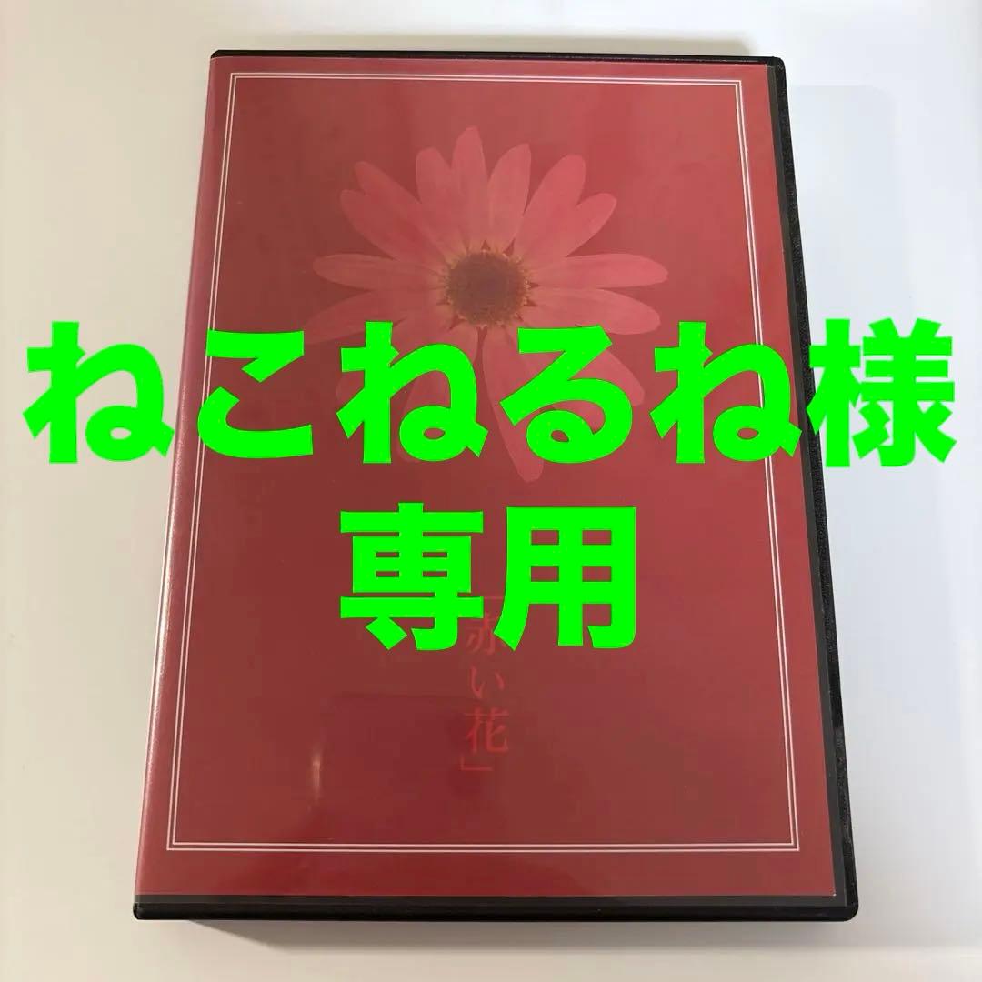 Kαin Kain JILS D≒SIRE 幸也 カイン ジルス デザイア 26