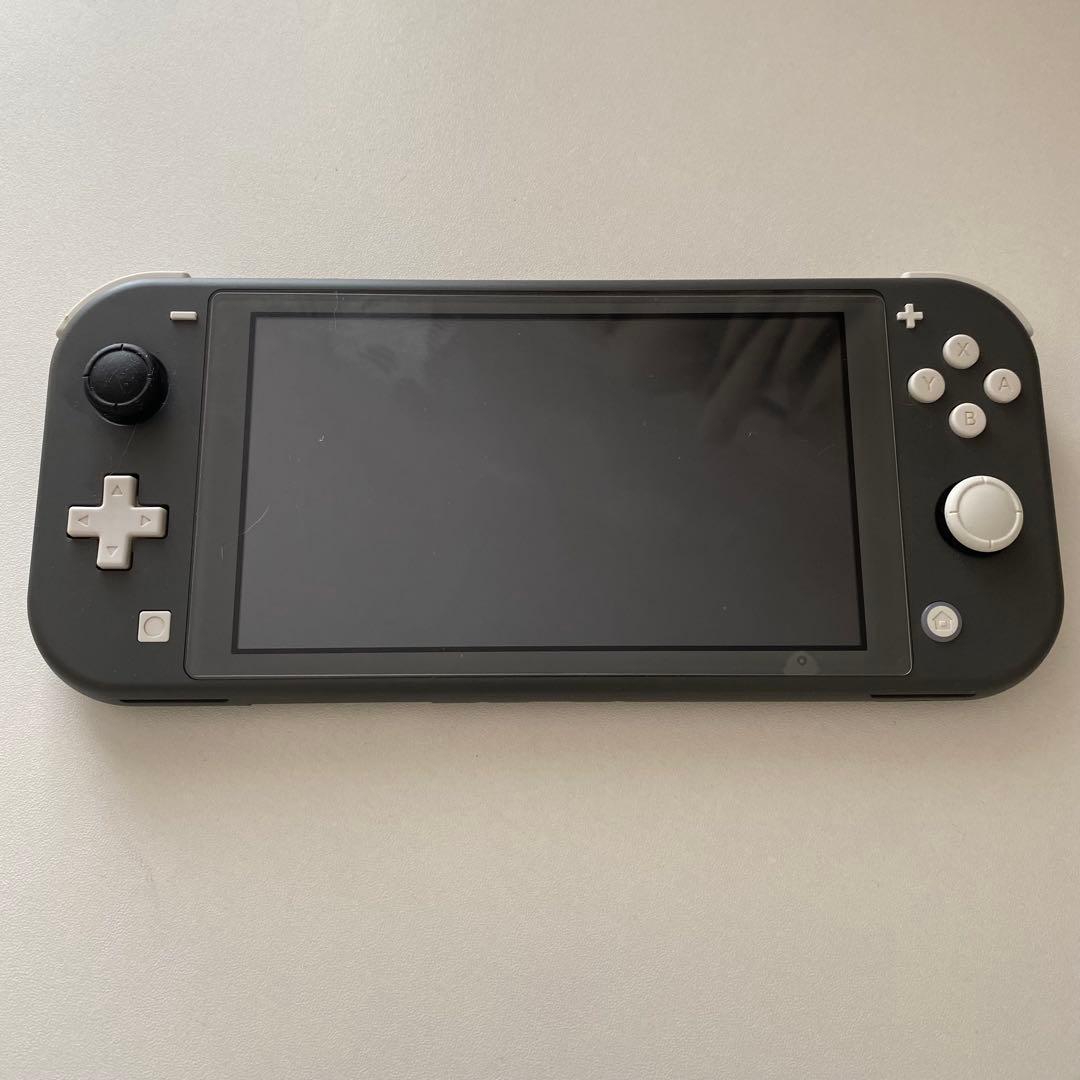 Nintendo Switch Lite グレー 本体　充電器付き