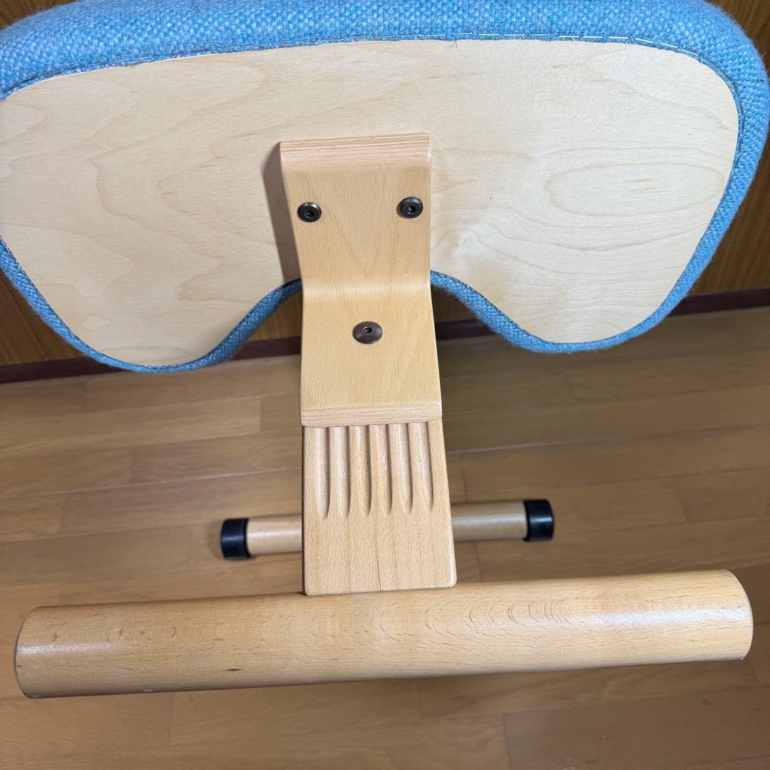 【Rybo】バランスイージー balans Easy ライトブルー ローラー付