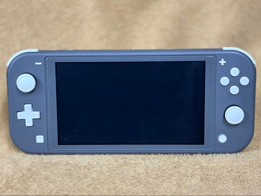 【ケース付】Nintendo Switch Lite グレー 保護ガラス貼付