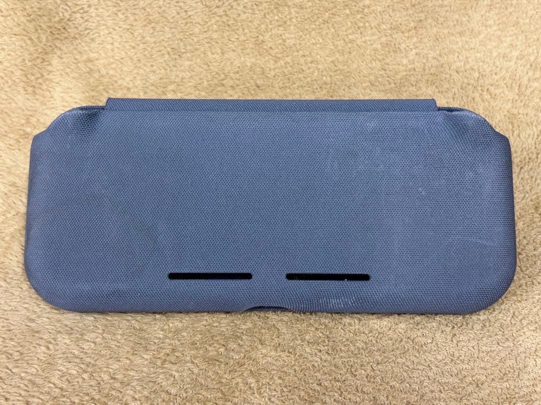 【ケース付】Nintendo Switch Lite グレー 保護ガラス貼付