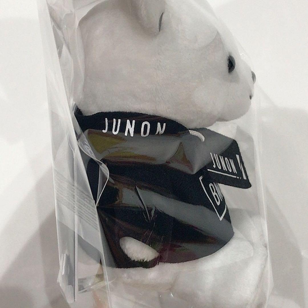 BE:FIRST ໒꒱ モアプラスぬいぐるみ くま BMSG JUNON