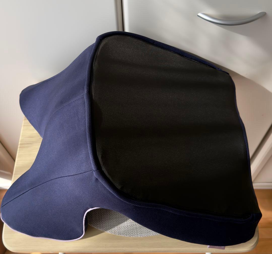 美品nishikawa Keeps for BEAUTY骨盤サポートクッション