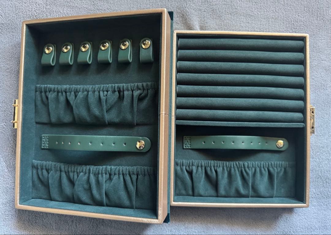 新品【Francfranc 】ディズニー　アナと雪の女王 ジュエリーボックス